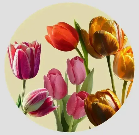 Table mat - Bottle coaster - Tulipano Sottobottiglia Rotondo - #03 - ILARIA.I