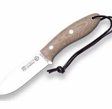 Bureaux d'entreprise - Couteau test 100726 - ASIATIDES