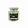 Bougies - Bougie Cire Colorée 430 g Sous le Figuier - LES LUMIERES DU TEMPS