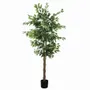 Floral decoration - Artificial ficus, black pot - ILARIA.I