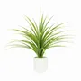 Floral decoration - Artificial Dracaena in White Pot - ILARIA.I