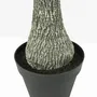 Décorations florales - Yucca artificiel effet naturel en pot plastique noir - ILARIA.I