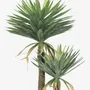 Floral decoration - Artificial yucca, 2 trunks, plastic pot - ILARIA.I