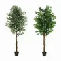 Décorations florales - Ficus artificiel en pot plastique noir - ILARIA.I