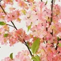 Floral decoration - Artificial cherry tree, black plastic pot - ILARIA.I