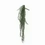 Décorations florales - Chute artificielle de Ceropegia Woodii - ILARIA.I