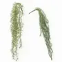 Floral decoration - Artificial bleached foliage trail – 2 assorted models - ILARIA.I