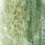 Floral decoration - Artificial bleached foliage trail – 2 assorted models - ILARIA.I