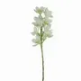 Décorations florales - Tige d’orchidée artificielle – 10 fleurs – Crème - ILARIA.I