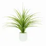 Floral decoration - Artificial Dracaena in White Pot - ILARIA.I