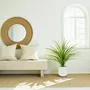 Floral decoration - Artificial Dracaena in White Pot - ILARIA.I