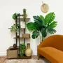 Floral decoration - Artificial monstera, 10 leaves, “real touch”, black plastic pot - ILARIA.I