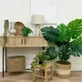 Floral decoration - Artificial monstera, 10 leaves, “real touch”, black plastic pot - ILARIA.I