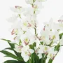 Floral decoration - Artificial cymbidium, 30 flowers, 60 leaves, white pot - ILARIA.I