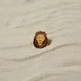 Fresques décoratives - Pin Lion - ILARIA.I