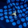 Decorative frescoes - Pin White Swan - ILARIA.I