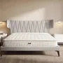 Literie pour hôtels - Matelas hybride en latex naturel avec mini ressorts et ressorts ensachés 7 zones 160x200 - ILARIA.I