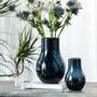Homewear bien-être - Iris variants pointures - ASIATIDES GDE 1009 !! TEST 29/04