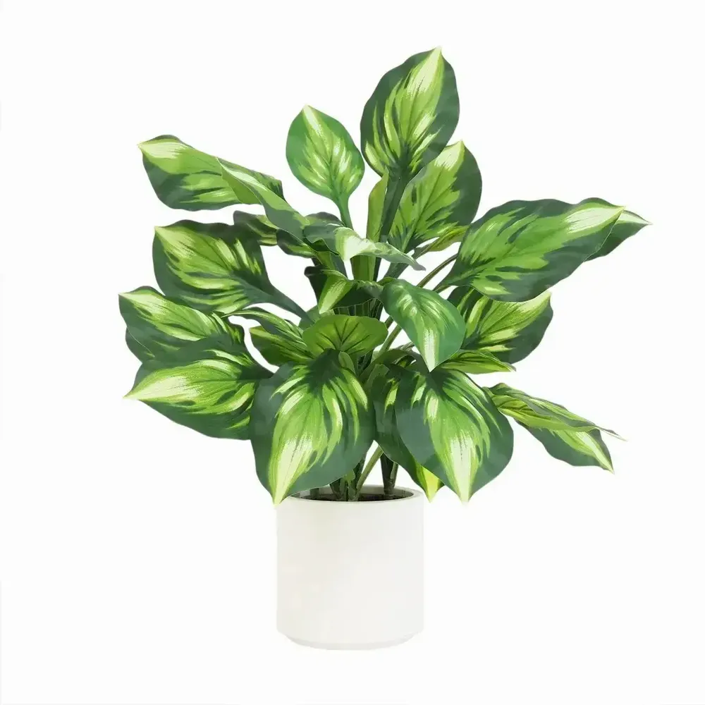 Floral decoration - Artificial Dieffenbachia Camilla in White Pot - ILARIA.I