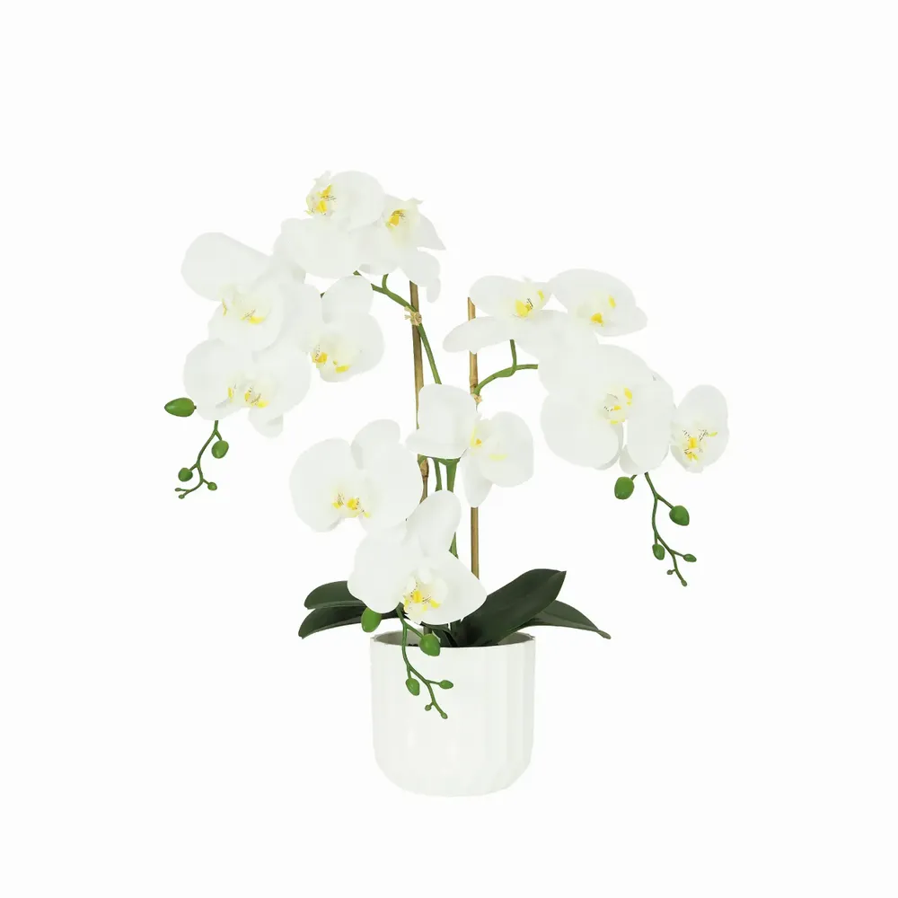 Floral decoration - “Real Touch” Orchid in White Pot - ILARIA.I