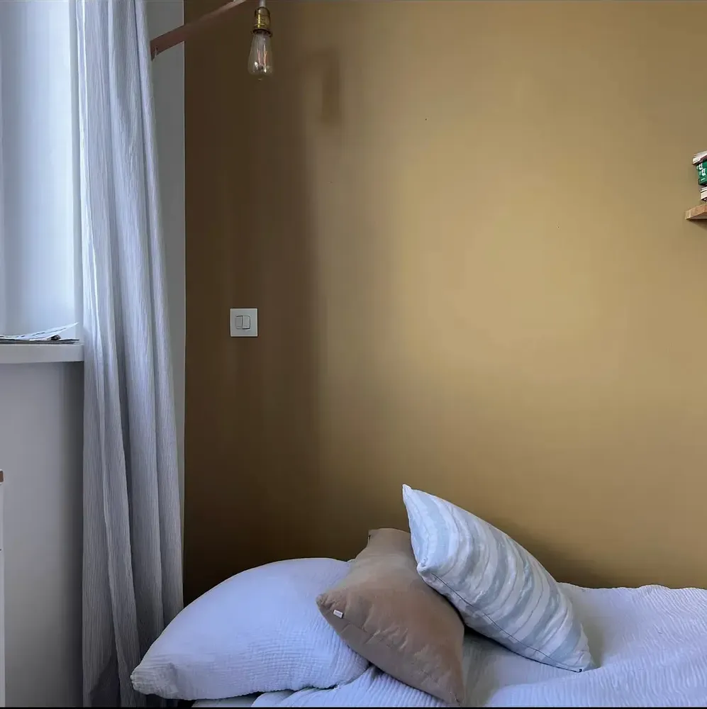 Decorative wall frescoes - Colonel Mustard Paint - ILARIA.I