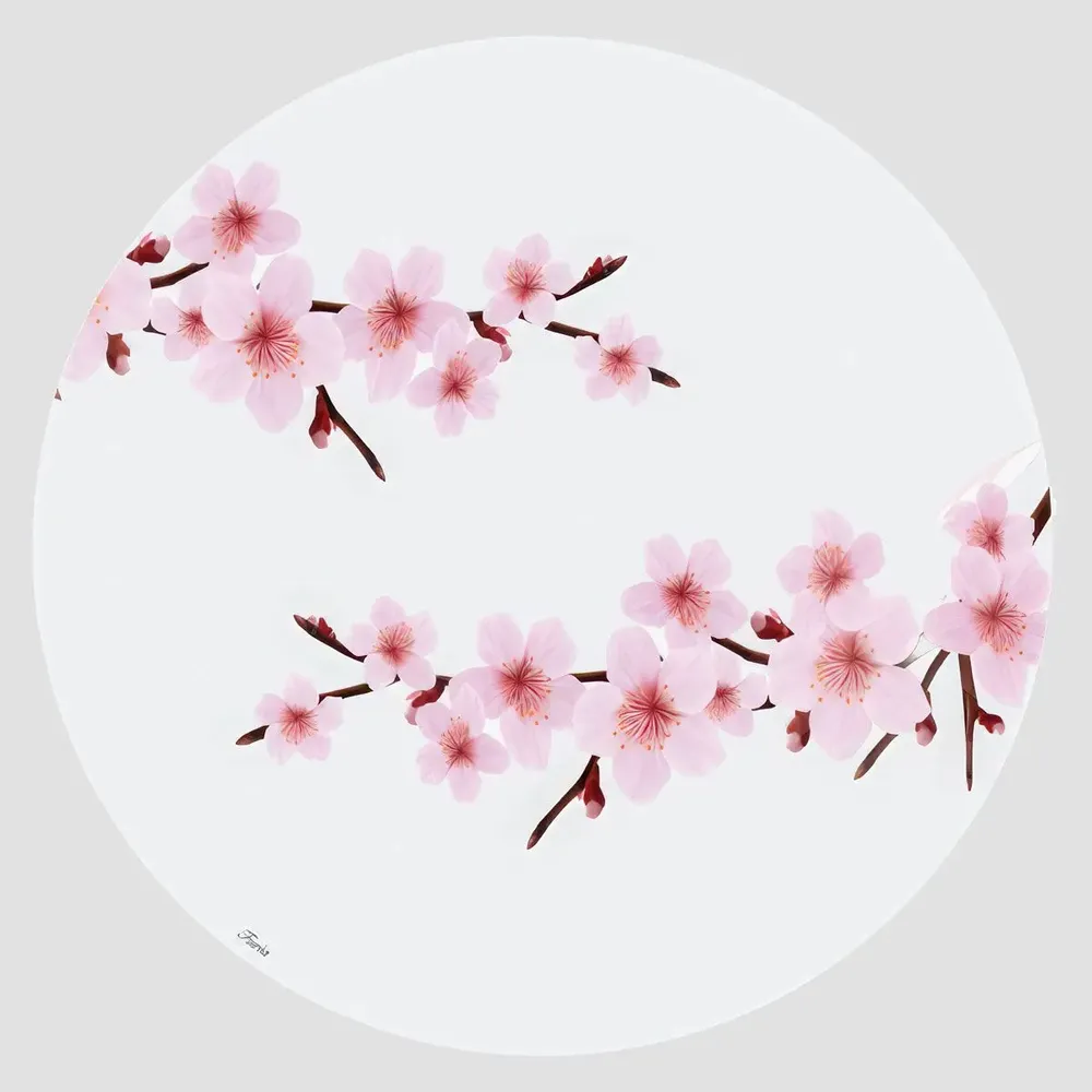 Placemats - placemats - Giafiori Sottopiatto Rotondo - #03 - SILVA PARIS