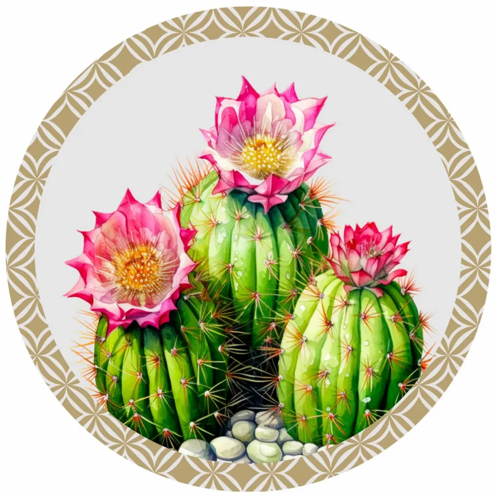 Sets de table - Sets de table - piante grasse sottopiatto rotondo - #04 - SILVA PARIS