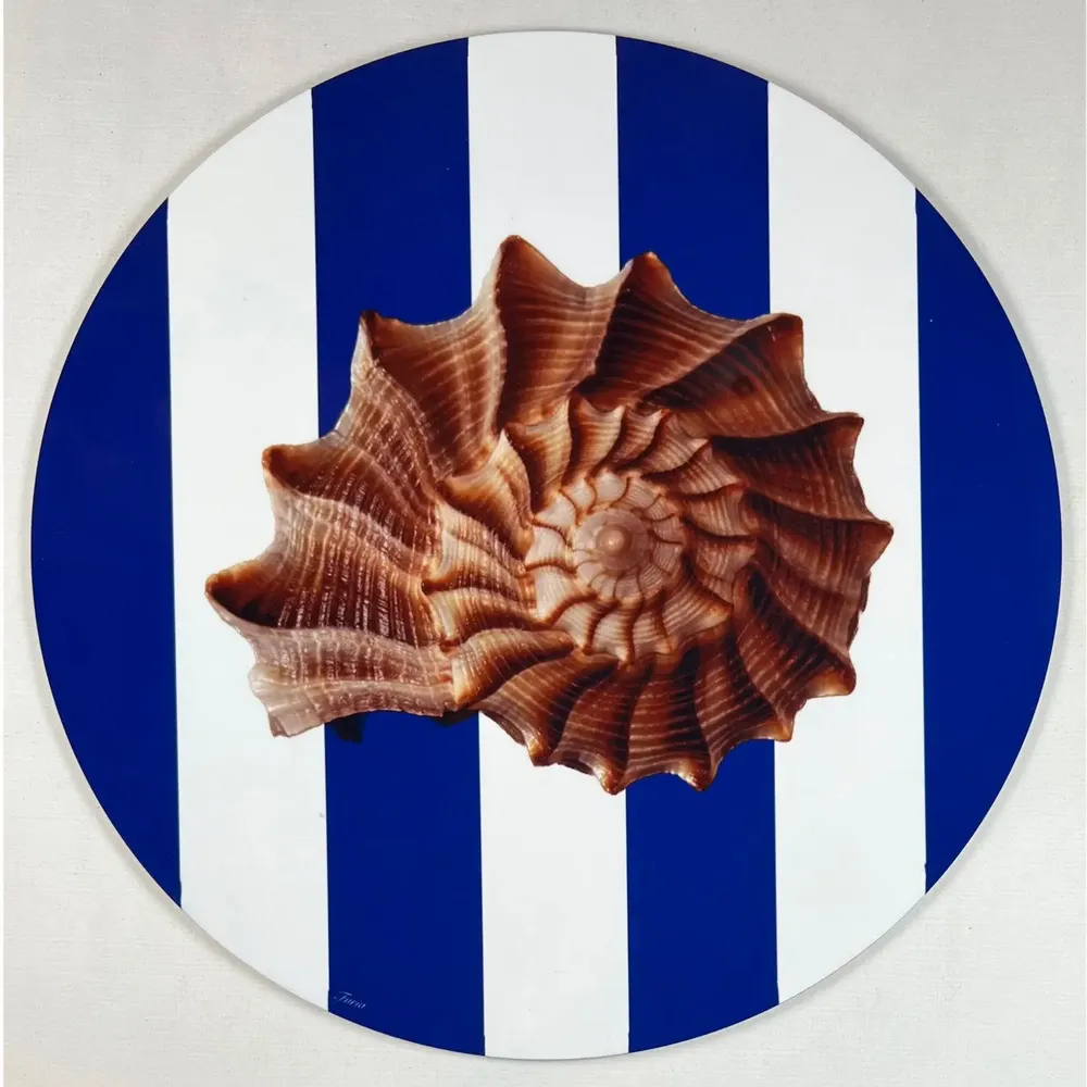 Sets de table - Sets de table - Conchiglia Sottobicchiere - #01 - SILVA PARIS