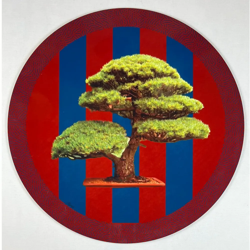 Placemats - placemats - Bonsai Sottobicchieri - #02 - SILVA PARIS