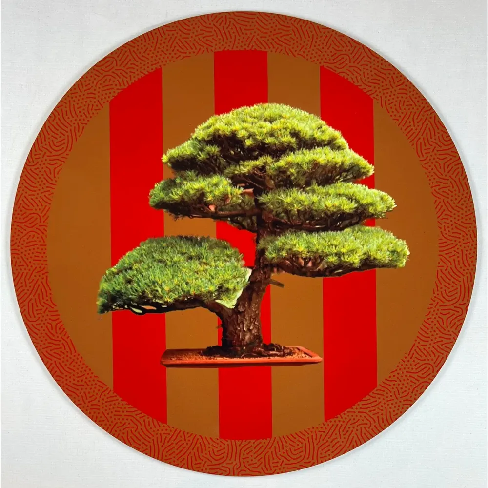 Placemats - placemats - Bonsai Sottobicchieri - #06 - SILVA PARIS