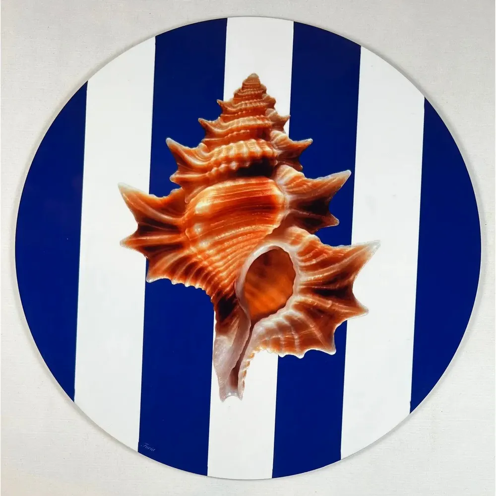 Placemats - placemats - Conchiglia Sottobicchiere - #03 - BRAINSTREAM GMBH