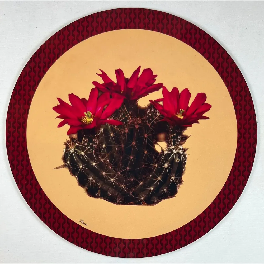 Table mat - Coasters - Cactus Sottobicchiere Rotondo - #05 - BRAINSTREAM GMBH