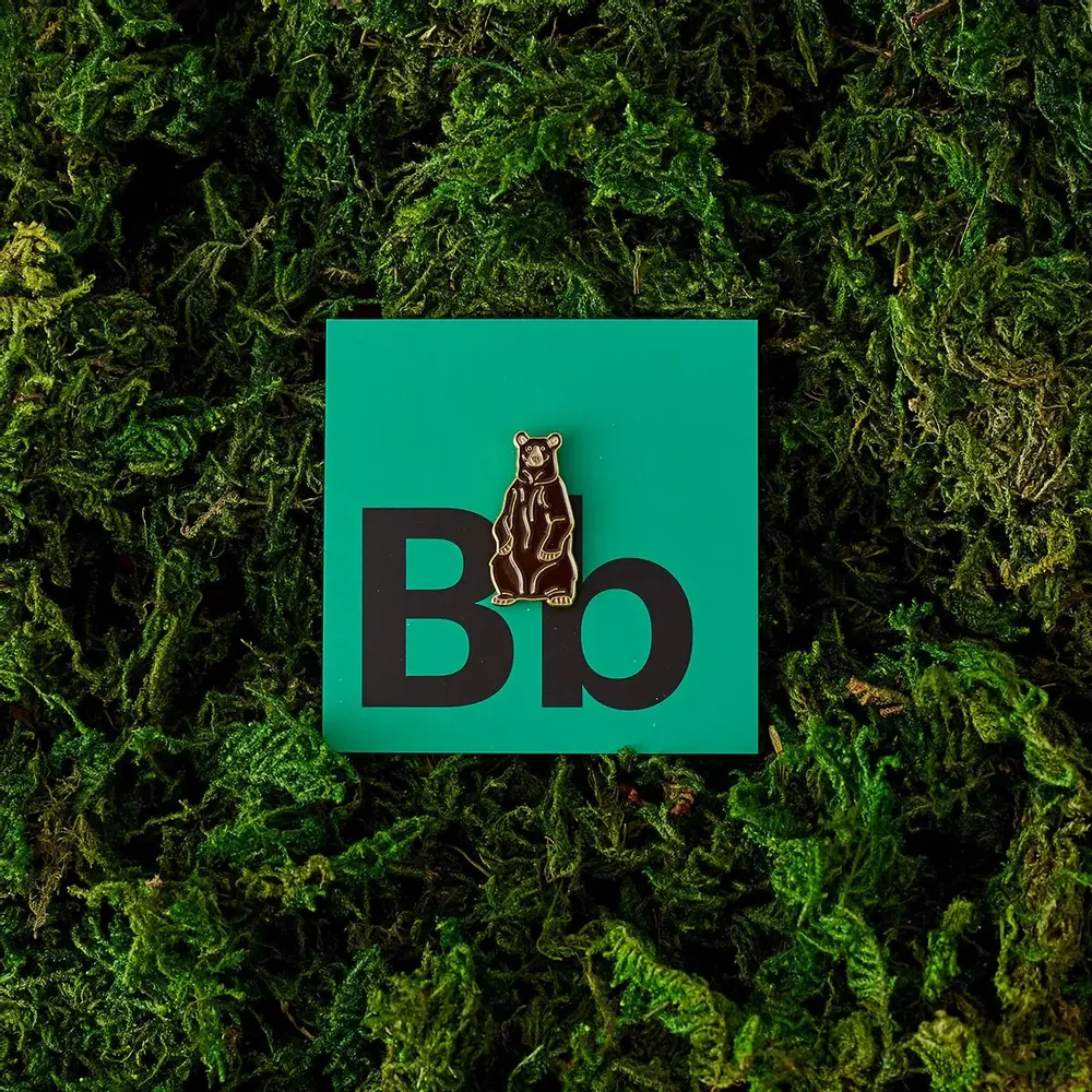 Decorative frescoes - Pin Brown Bear - ILARIA.I