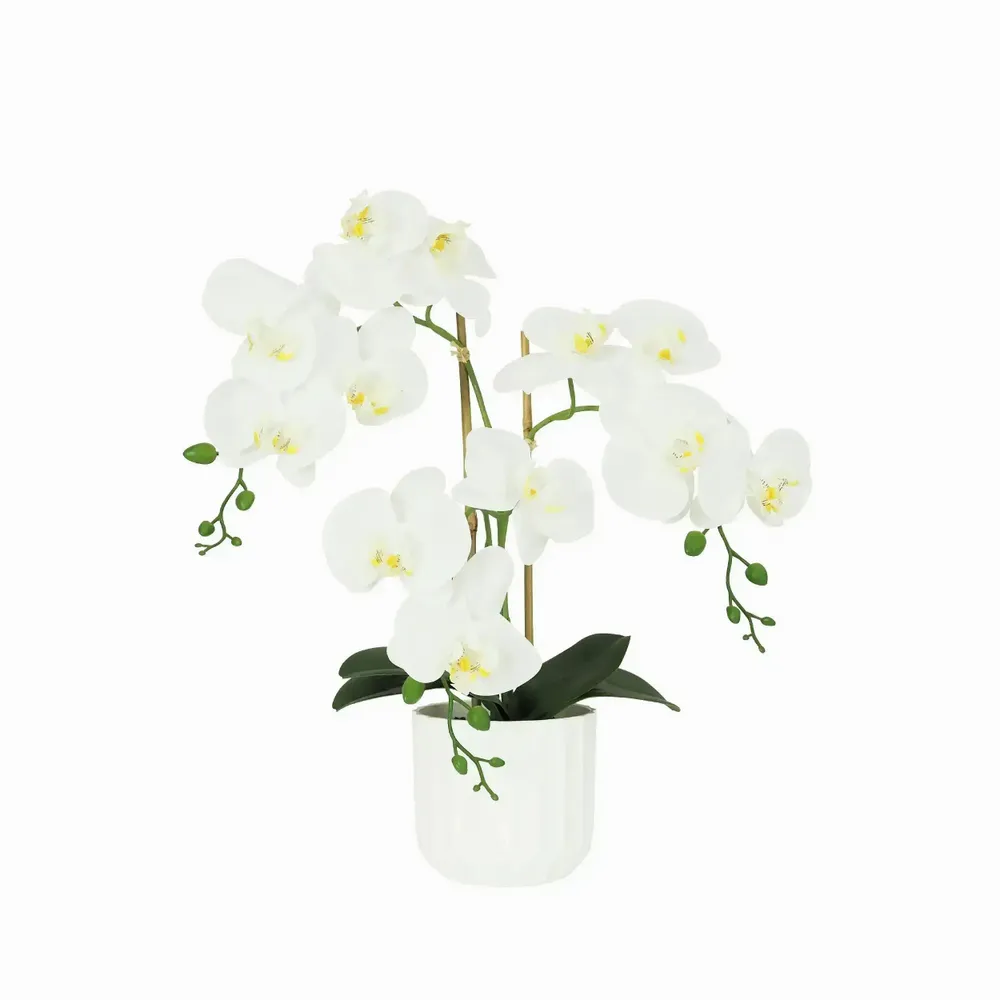 Décorations florales - Orchidée “toucher naturel” en pot blanc - ILARIA.I