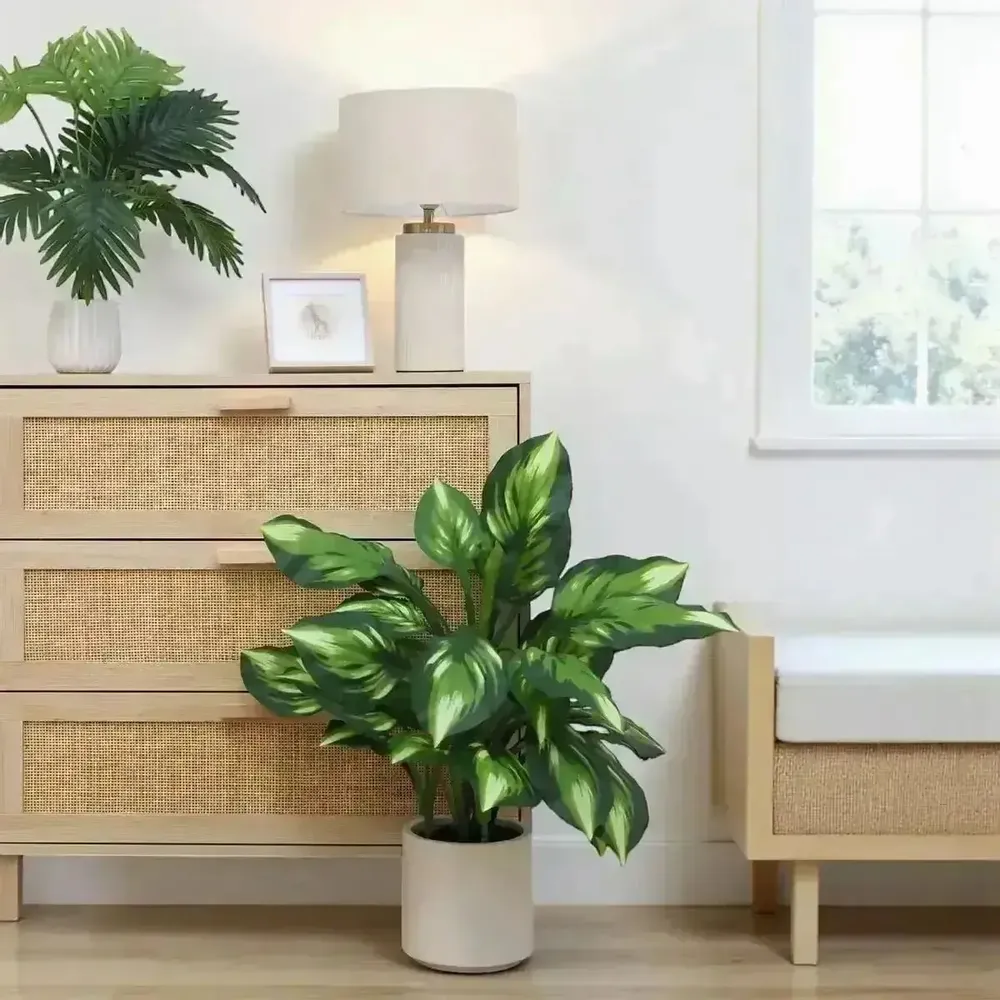 Floral decoration - Artificial Dieffenbachia Camilla in White Pot - ILARIA.I