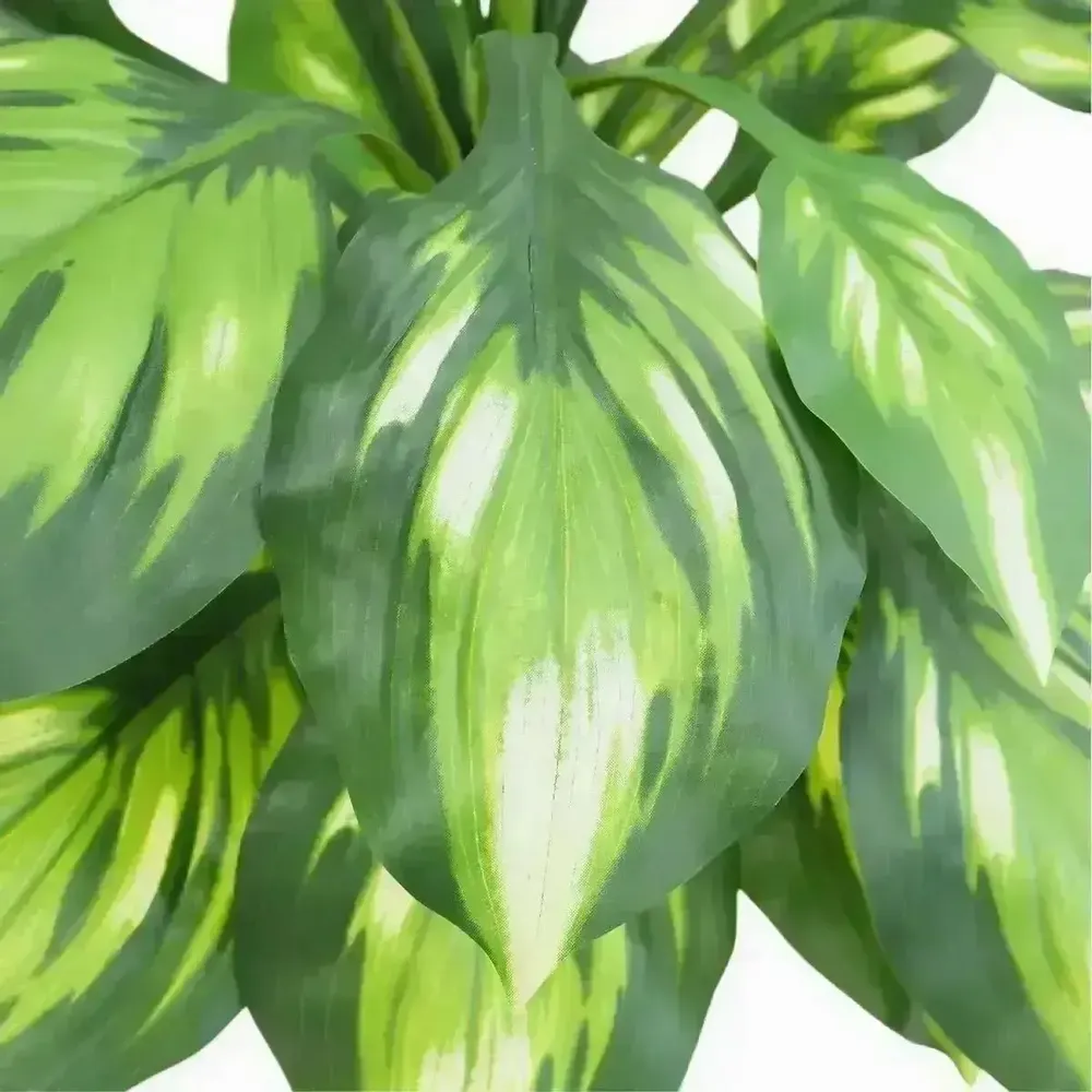 Floral decoration - Artificial Dieffenbachia Camilla in White Pot - ILARIA.I