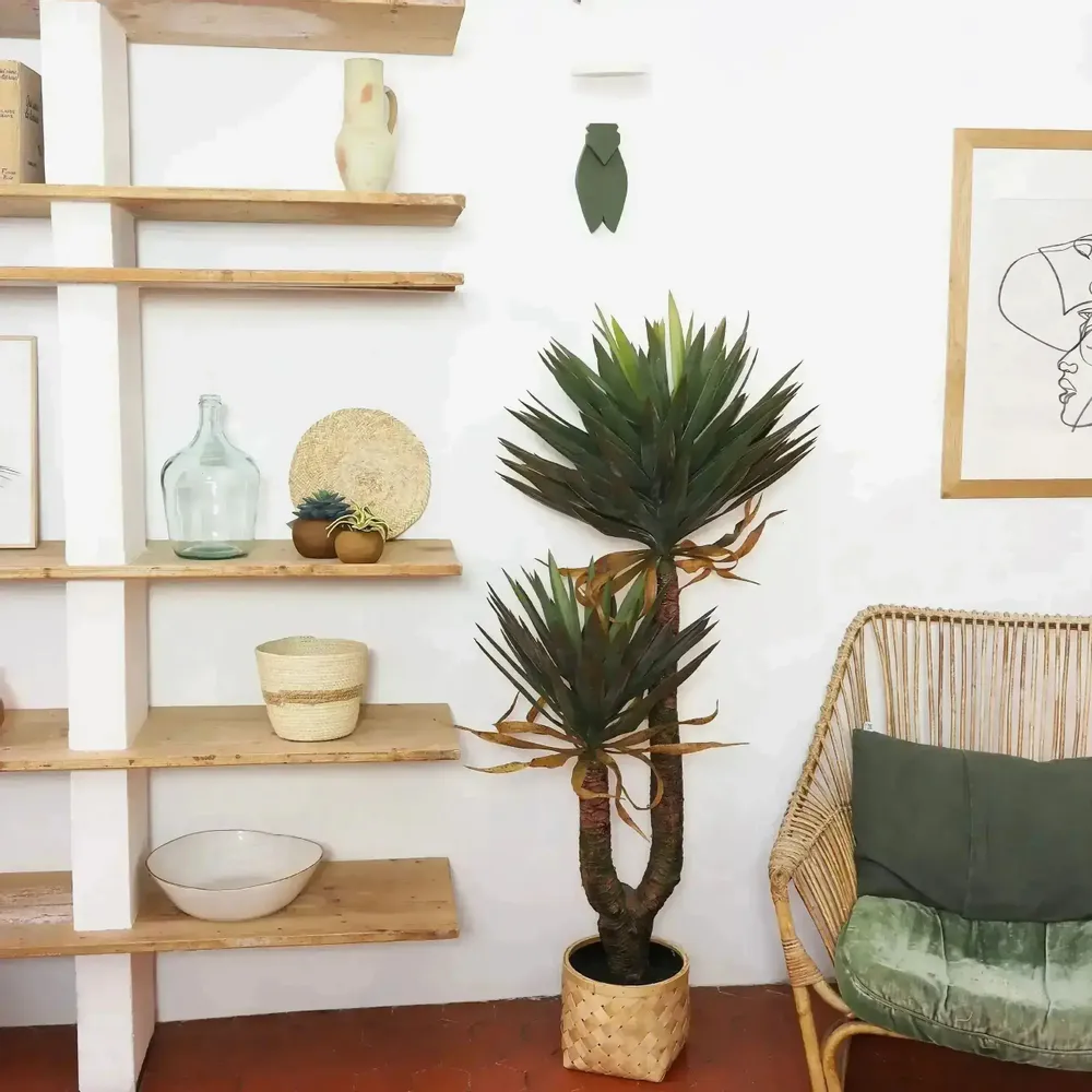 Floral decoration - Artificial yucca, 2 trunks, plastic pot - ILARIA.I