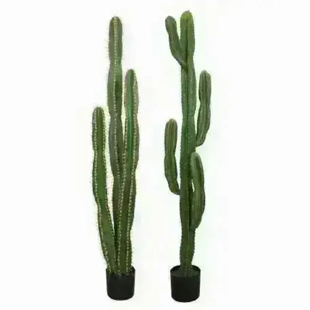 Décorations florales - Cactus artificiel en pot plastique noir - 2 modèles - ILARIA.I