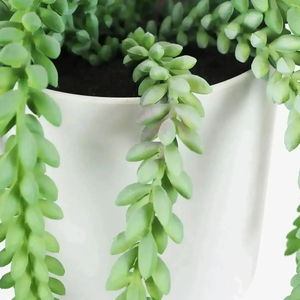 Décorations florales - Succulente retombante artificielle en pot plastique blanc - ILARIA.I
