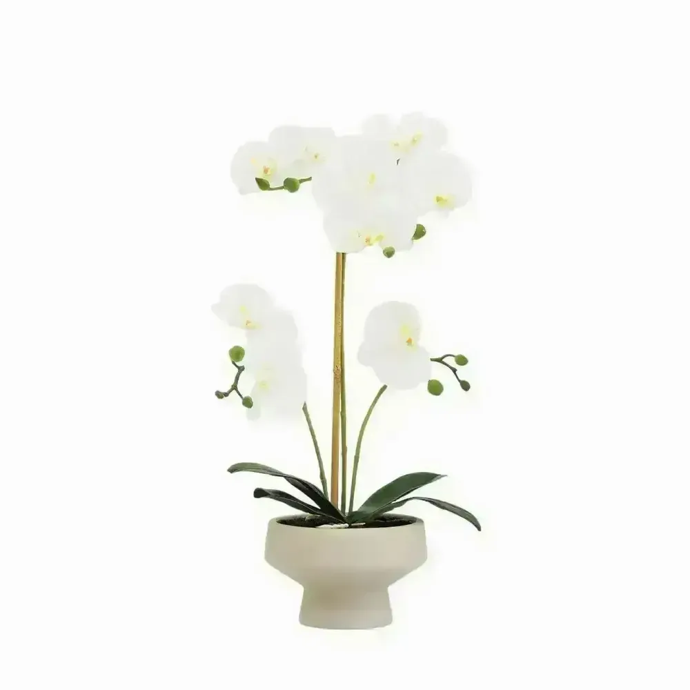 Décorations florales - Orchidée “toucher naturel” en pot céramique - ILARIA.I