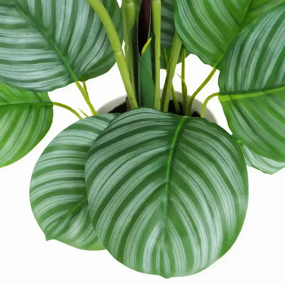 Floral decoration - “Real Touch” Artificial Calathea - ILARIA.I
