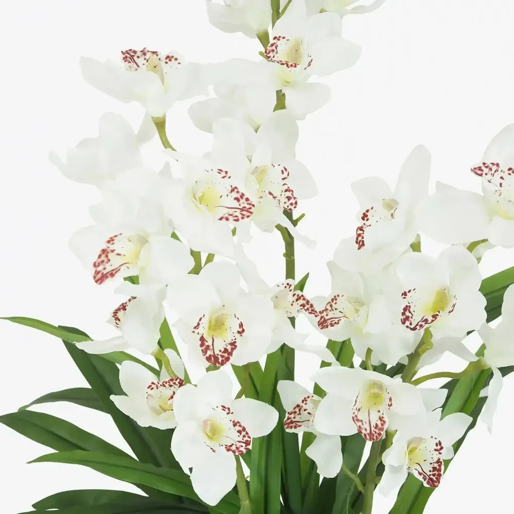Floral decoration - Artificial cymbidium, 30 flowers, 60 leaves, white pot - ILARIA.I