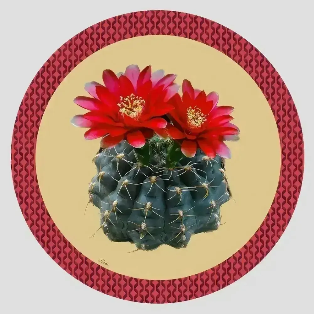 Dessous de plat - Dessous de bouteille - Cactus Sottobottiglia Rotondo - #06 - ILARIA.I